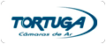 tortuga